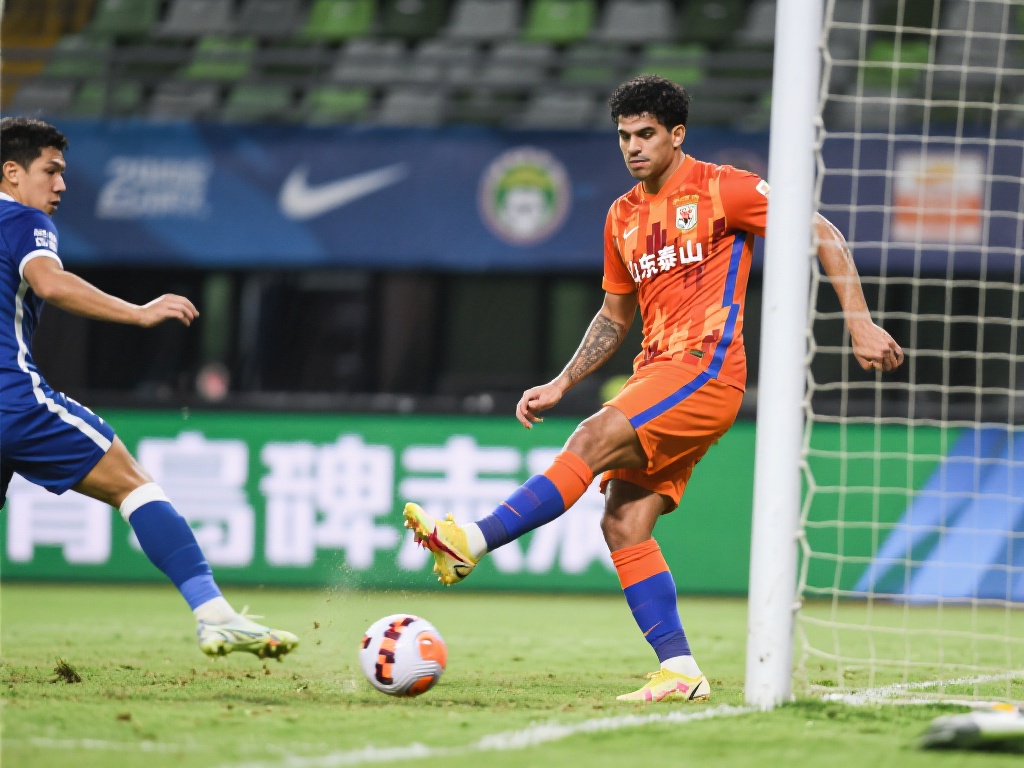 从目前的对 从目前的对